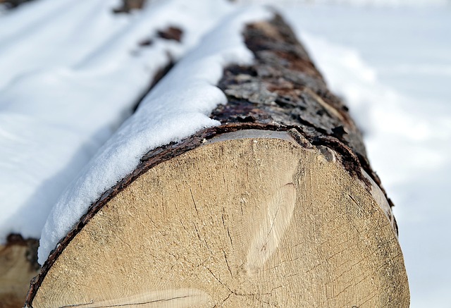 sawmills