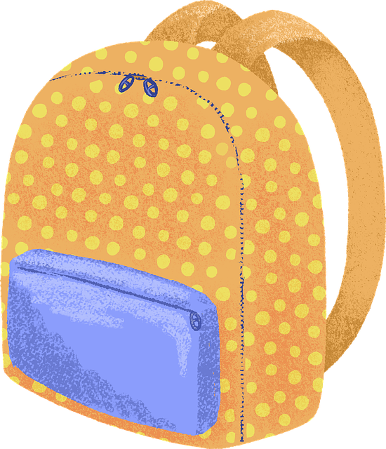 schools