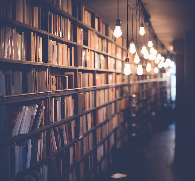 Strengthening Student Safety: The Essential Role of Background Checks in Education