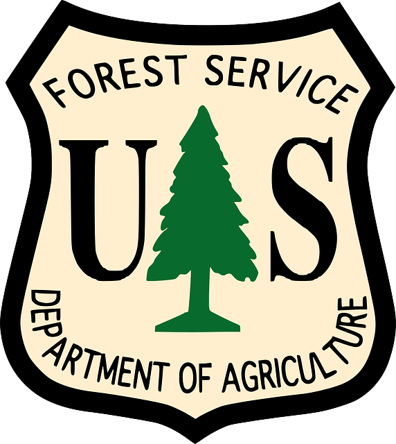 service-640x480-46386446.png