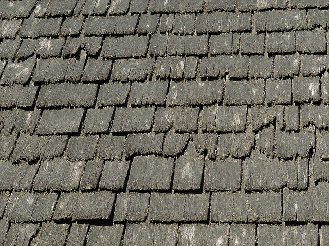shingle-roof-640x480-55583014.jpeg
