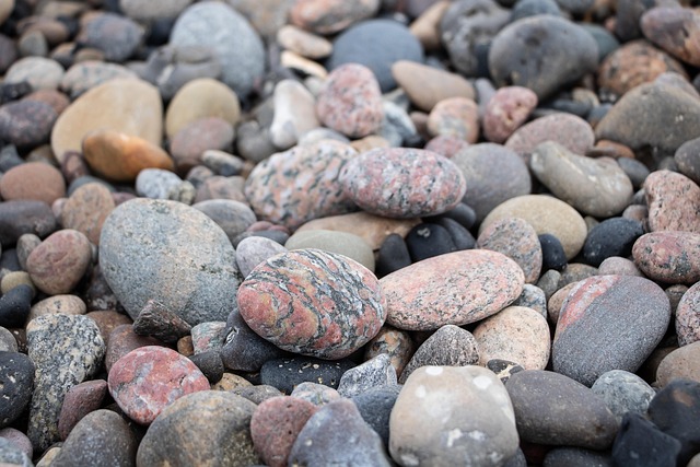 shingle roof