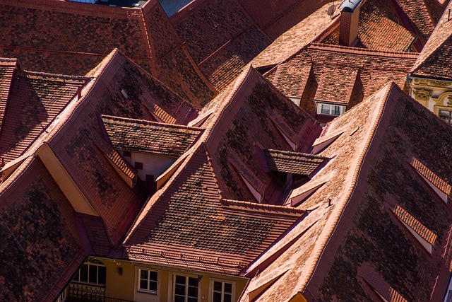 shingle roof
