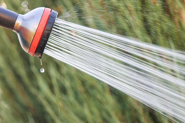 shower