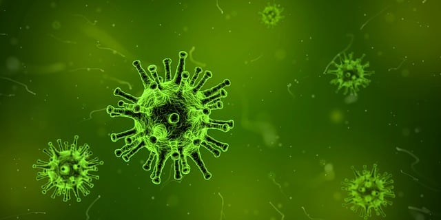 sickness