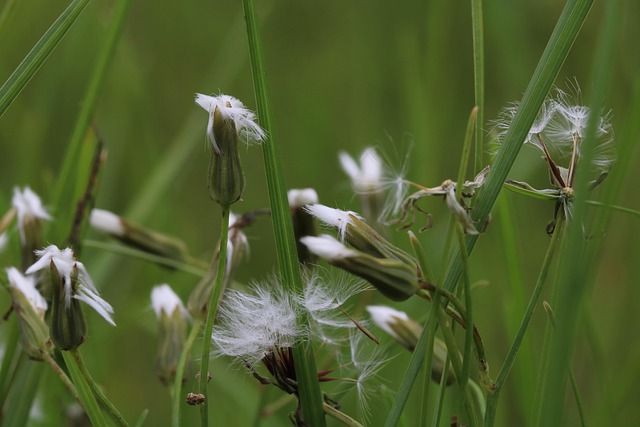 spores-640x480-81459971.jpeg
