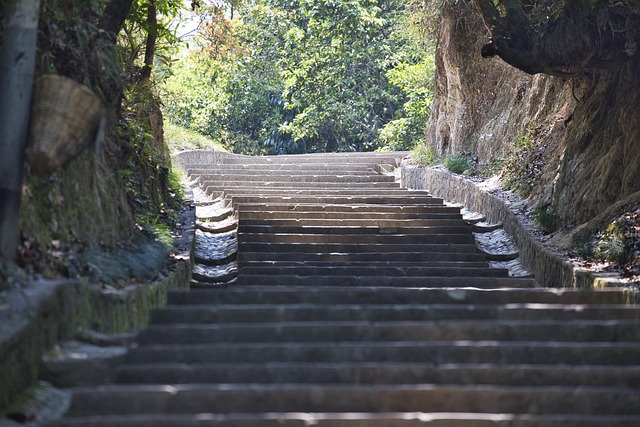 steps