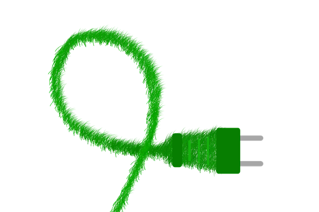 Green College Living: Eco-Friendly Housing Options & Tips for Students
