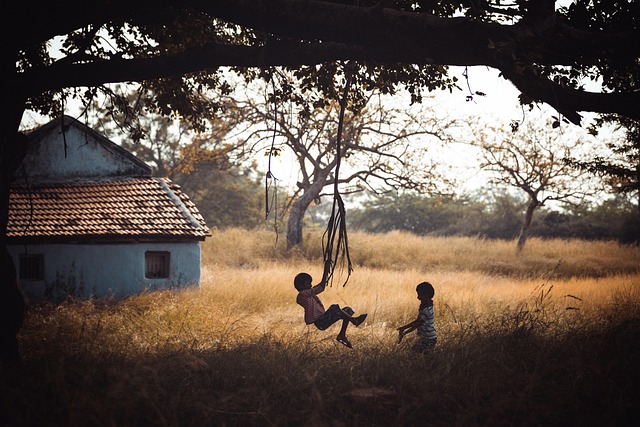 swing