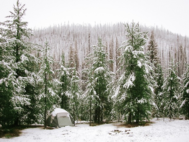 Tents