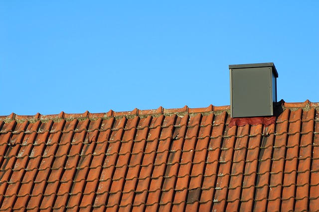 tile-roof-640x480-10909428.jpeg