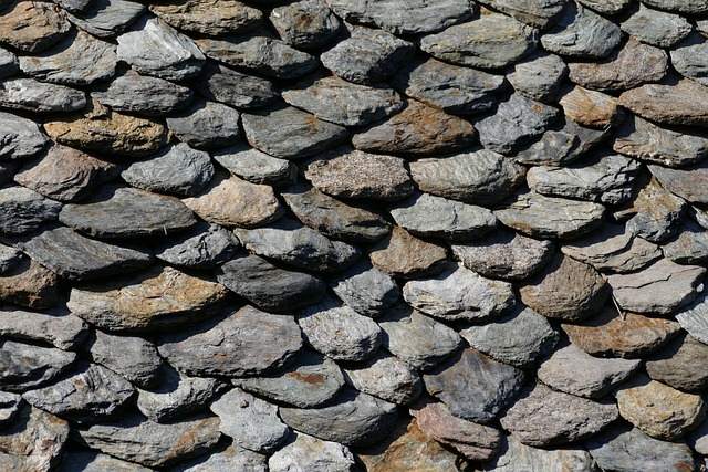 Green Roofing Experts in Eugene Oregon: Transforming Urban Spaces
