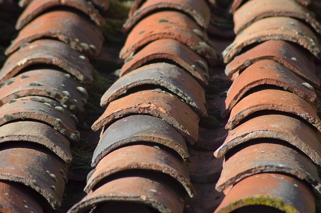tile roof