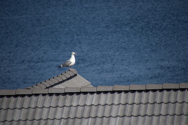 tile roof