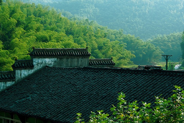 tile-roof-640x480-74081084.jpeg