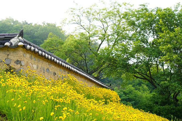 tile roof