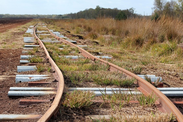 tracks