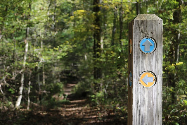 trail-640x480-10199548.jpeg