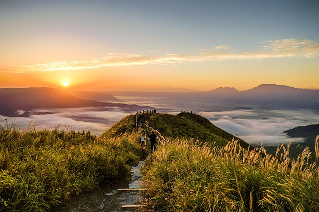 Discover Lane County’s Guided Hikes: Nature Trails Near Eugene