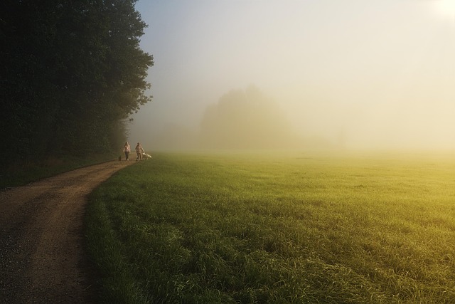 Discovering Oregon’s Natural Wonders: Guided Hikes for Every Adventure Seeker