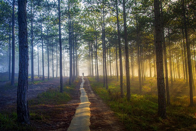 trails
