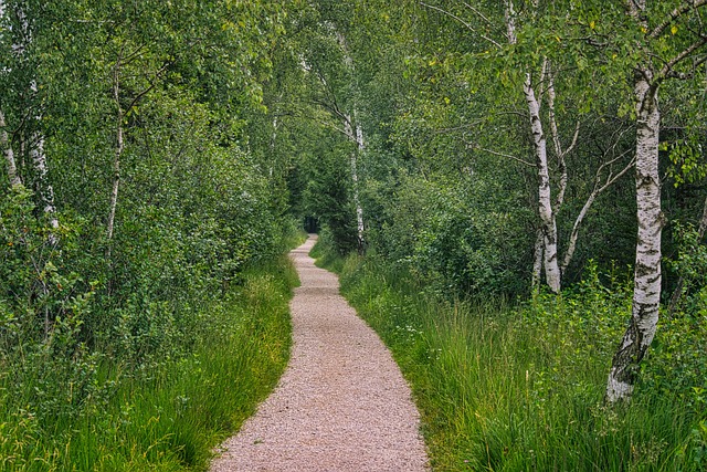 trails