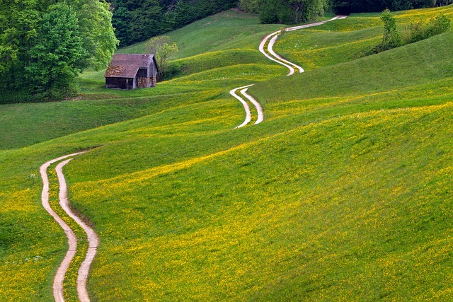 trails