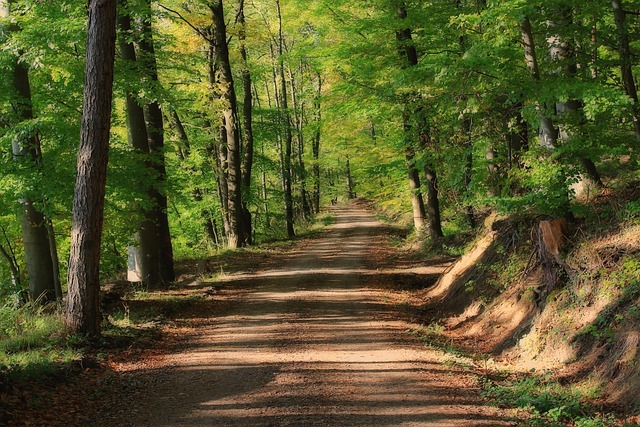 trails