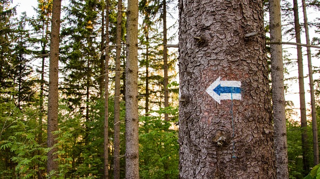 trails