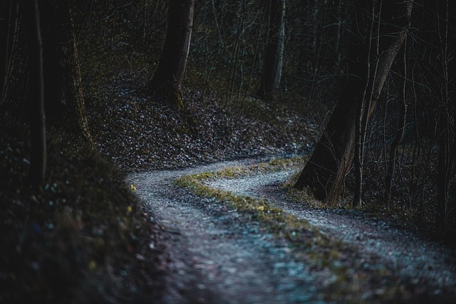 trails