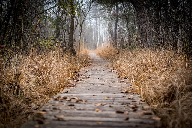 trails