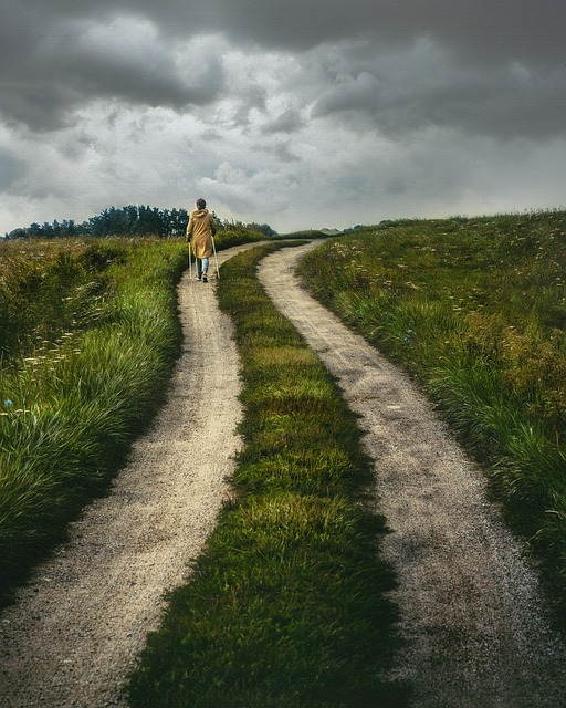 trails