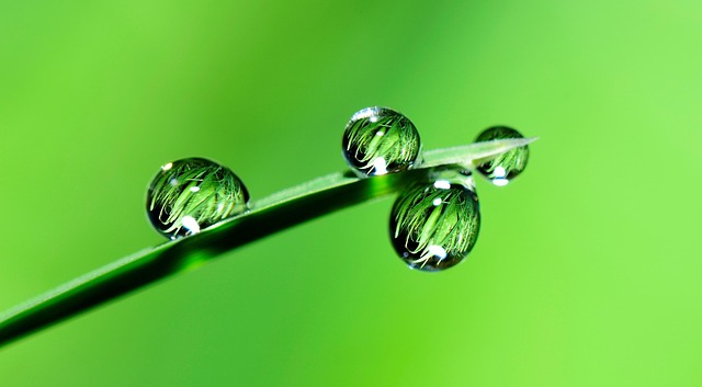 tranquility-640x480-30185709.jpeg