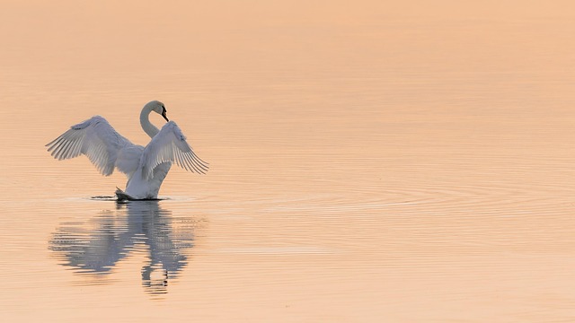 tranquility