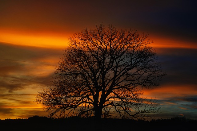 tranquility-640x480-72327599.jpeg