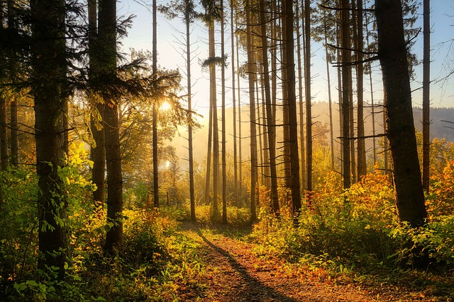 tranquility
