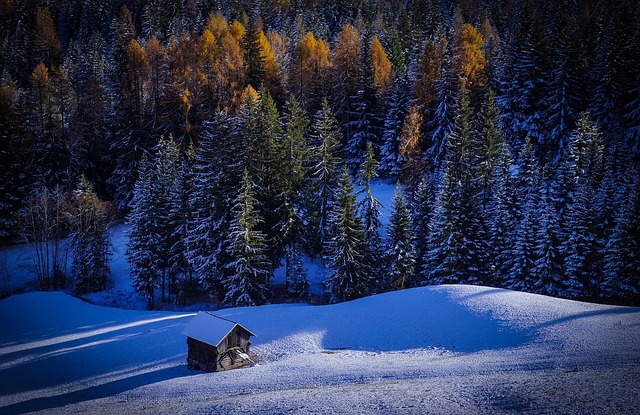 tranquility