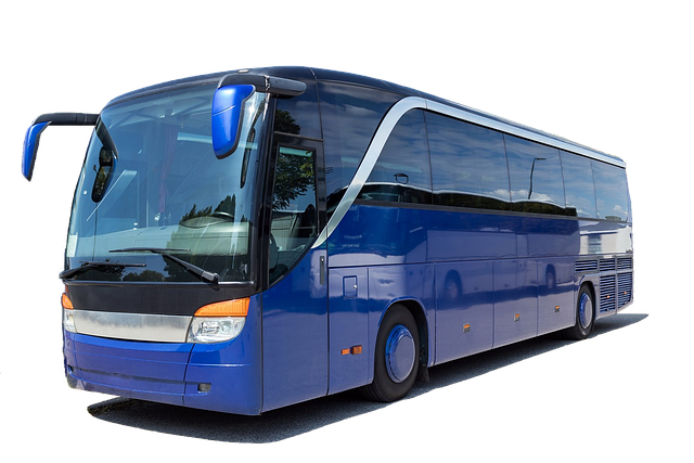 transportation