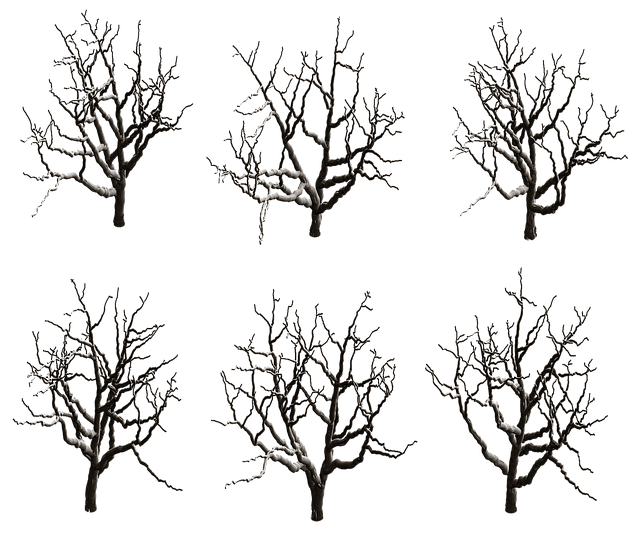 trees-640x480-90416815.png
