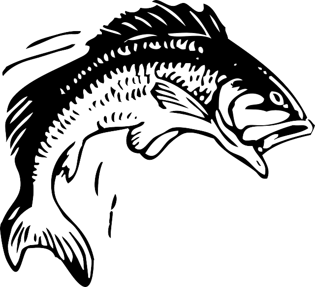 trout