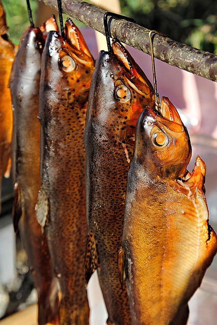 trout