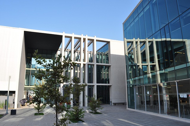 university