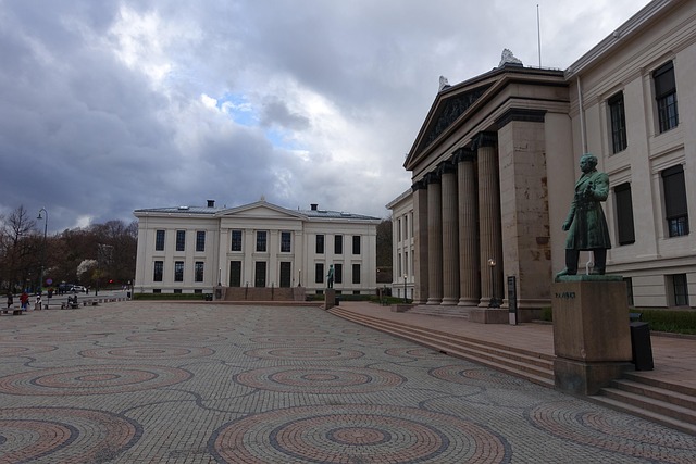 university