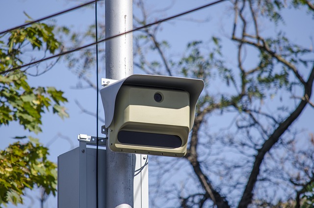 Video Doorbell For Elderly Safety