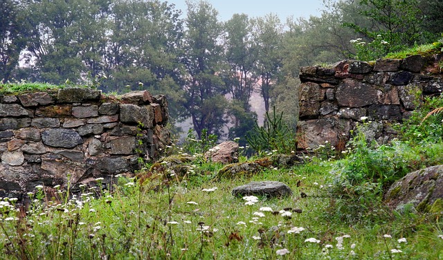 wall-640x480-15055173.jpeg