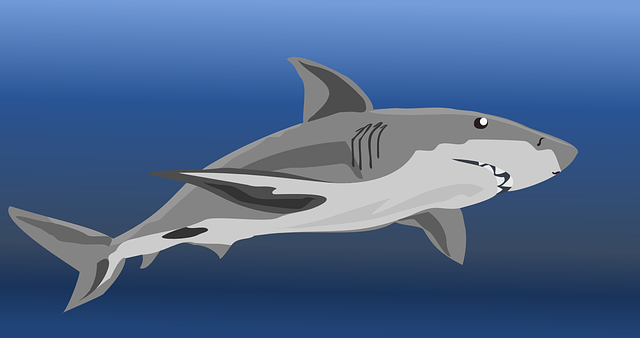 white-teeth-640x480-21658091.png