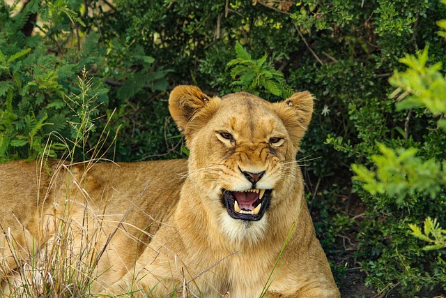 white-teeth-640x480-62950317.jpeg