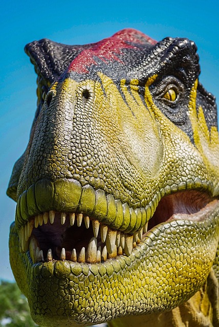 white-teeth-640x480-6764699.jpeg