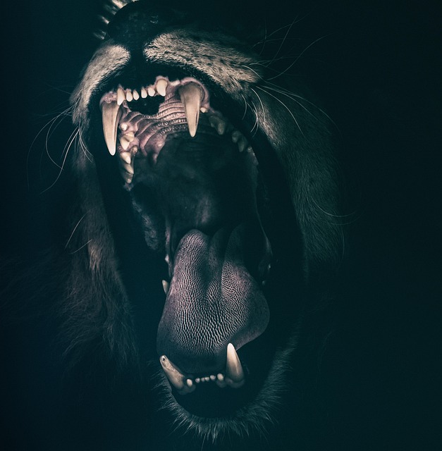 white teeth