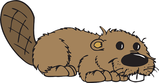 white-teeth-640x480-78918037.png